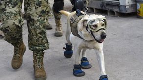 Frida se retiró del servicio el 24 de junio de 2019.