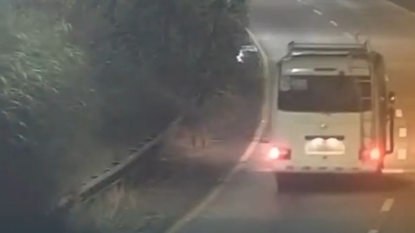 Roban bus municipal en Arraiján