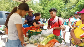 Agroferias del sábado: ¿Dónde serán y qué puedes comprar?
