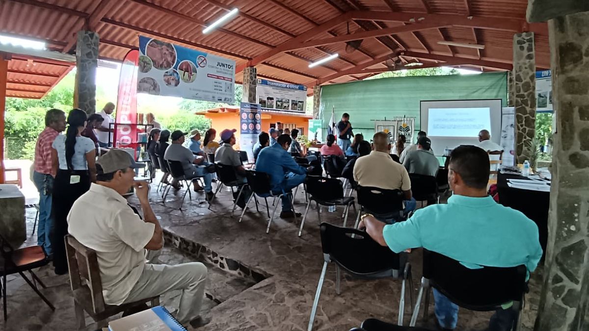 MIDA realiza jornada de capacitación en Panamá Oeste para reforzar la sanidad animal