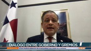 Viceministro Rognoni hace llamado a la tolerancia en medio de protestas