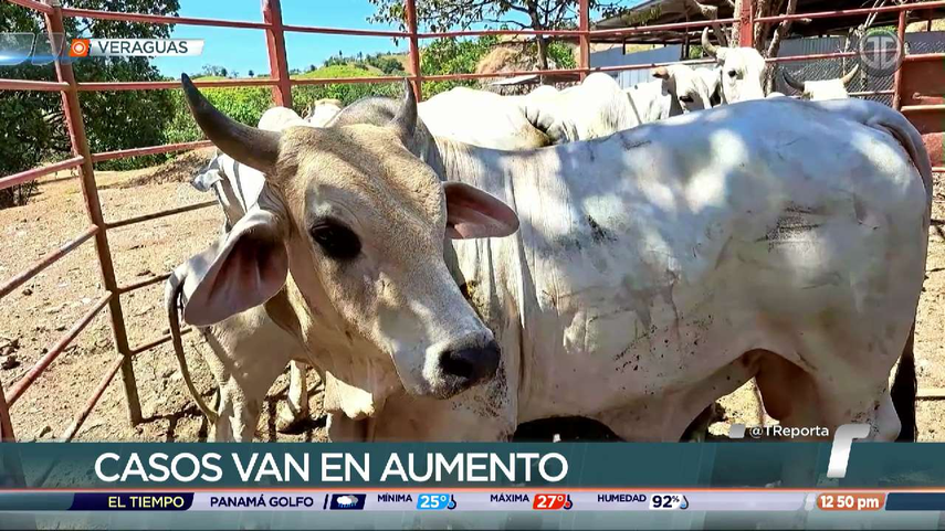 MIDA emite recomendaciones para los dueños de fincas.&nbsp;