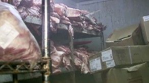 Realizan operativo sorpresa en comercios de Las Mañanitas