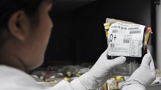 Instan a personas a donar sangre en diciembre y enero previo a la JMJ 2019