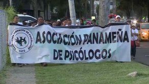 Psicólogos marcharon a la Presidencia