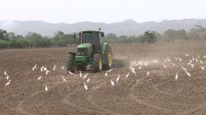 Esperan audiencia preliminar sobre riego de Tonosí para enero