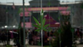 Biden perdona a miles de convictos por posesión de marihuana