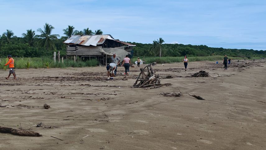 MINSA recolecta más de 200 bolsas de basura