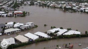 Inundaciones en Australia traen cocodrilos a las calles