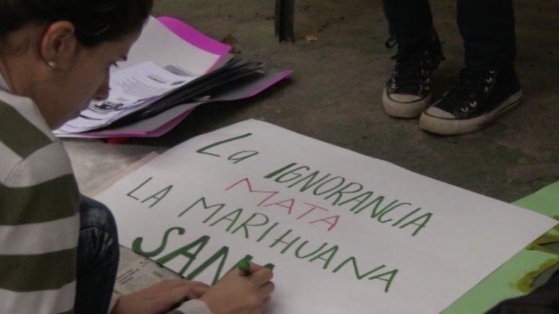 Piden legalización de marihuana en Paraguay, el mayor productor de Suramérica