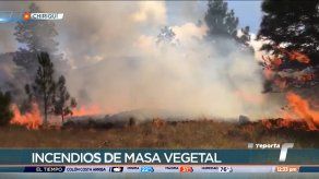  Aumentan incendios de masa vegetal en Chiriquí