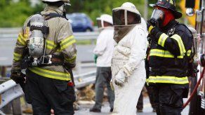 Piden cuidarse de abejas en carretera de Delaware
