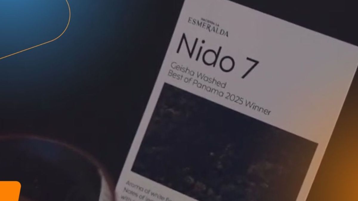 Café panameño se vende a casi $1,000 la taza en Dubái. Café panameño se vende a casi $1,000 la taza en Dubái.