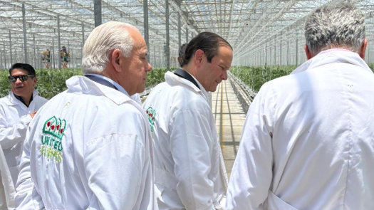 Modelo orientado a la exportación en México Modelo orientado a la exportación en México