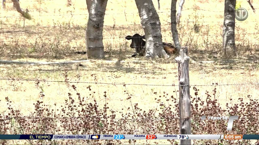 Estado de Emergencia por extensión de la sequía podría ser declarado