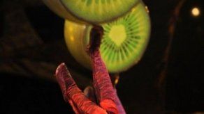 Ensayo del Cirque du Soleil para OVO