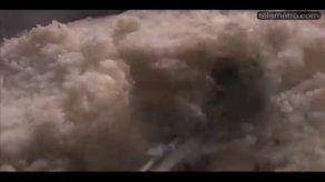 Productores de arroz temen por la producción