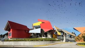 Actividades gratuitas en el Biomuseo este domingo 22 de mayo