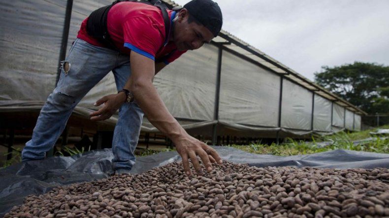 Expertos catan y evalúan en Nicaragua el mejor chocolate de Centroamérica