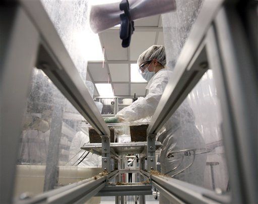 Los hongos también sirven de material de empaque