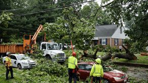 Caída de arboles en Maryland, Estados Unidos, en junio de 2024.