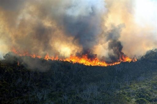 Imágenes impactantes de la semana