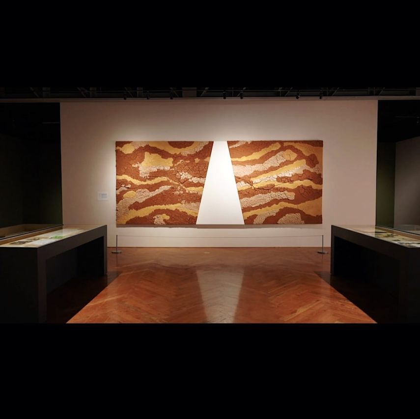 El Pabellón Nacional de Panamá en 2026 estará bajo la curaduría de Ana Elizabeth González. El Pabellón Nacional de Panamá en 2026 estará bajo la curaduría de Ana Elizabeth González.