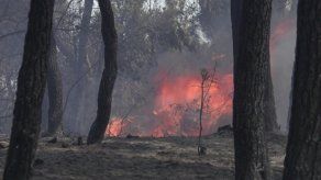 Varios pueblos evacuados en Grecia por importante incendio forestal
