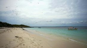 Día Mundial del Medio Ambiente