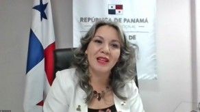 Viceministra detalla estrategias de educación ambiental Viceministra detalla estrategias de educación ambiental