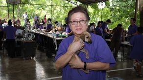 Spay Panamá opera al animal doméstico número 350,000.