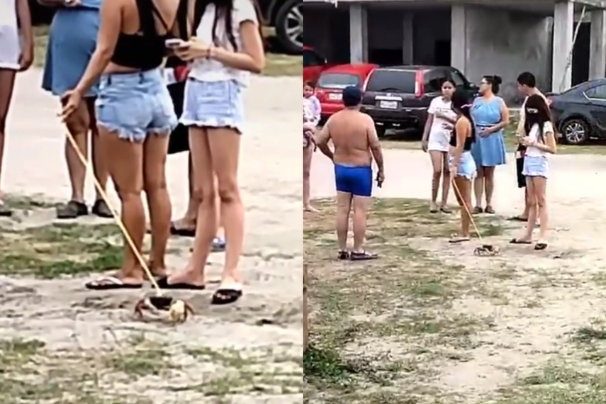 Mujer pasea su cangrejo