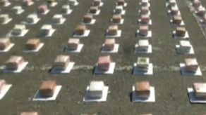 La&nbsp; Guardia Nacional Bolivariana (GNB, Policía militarizada) decomisó 2,158 panelas (bloques) de marihuana con un peso de 1,101 kilos y otras 100 de cocaína con peso de 111 kilos.