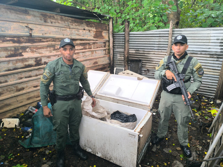 Sacos con huevo de tortuga en Los Santos