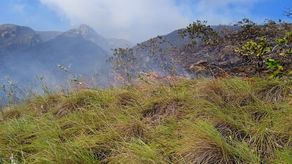 ¡Recompensa de B/. 3,000! MiAmbiente busca a los responsables del incendio en Cerro Guacamaya ¡Recompensa de B/. 3,000! MiAmbiente busca a los responsables del incendio en Cerro Guacamaya