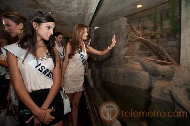 Aspirantes a Miss Universo 2010 dan su paseo