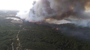 Incendio forestal amenaza parque nacional español de Doñana