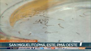 Preocupa a las autoridades de salud aumento de casos de dengue