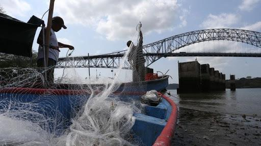 Pesca de arrastre en Panamá: ¿Qué es y cómo se practica?