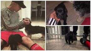 Justin Bieber tiene un nuevo cachorro llamado Phil