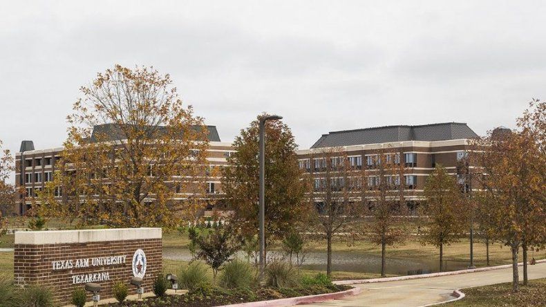 @tamusystem