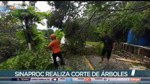 En Colón se registran lluvias y árboles caídos