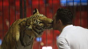 Portugal prohíbe los animales salvajes en los circos