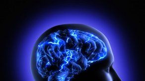 Alta dosis de cocaína provoca autodestrucción neuronal