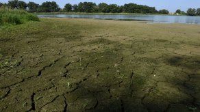 Anagan pide al MIDA financiamiento para enfrentar sequía Anagan pide al MIDA financiamiento para enfrentar sequía