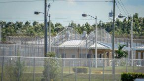 Hijos de Martinelli no figuran en lista de detenidos de inmigración de EEUU