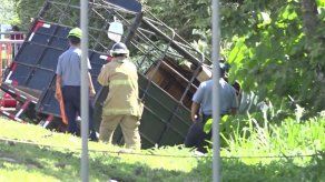 Reportan un muerto y dos atrapados en camión que cayó de un puente en Coclé
