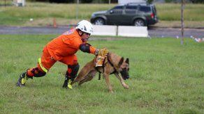 Unidad de Búsqueda y Rescate Canino del Sinaproc inicia curso para fortalecer capacidades