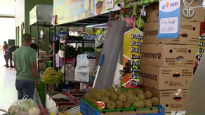 Merca Panamá cobrará luz a arrendatarios desde 2026