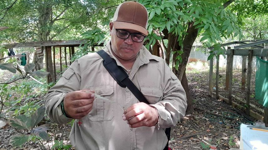 El MINSA ha intensificado los operativos de control de vectores en todo el país y hace un llamado a la población. El MINSA ha intensificado los operativos de control de vectores en todo el país y hace un llamado a la población.